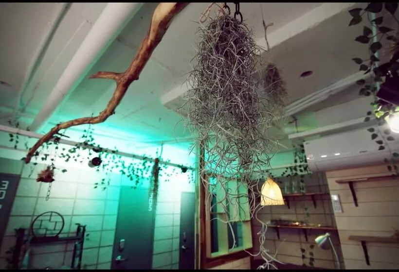 Majatalo 24 Guesthouse Sinchon