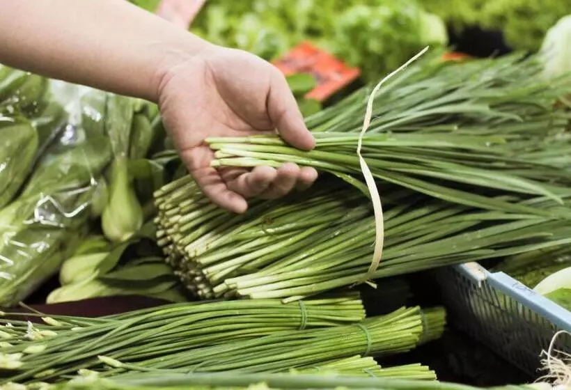 Sireeampan Boutique Resort And Spa Sha Extra Plus