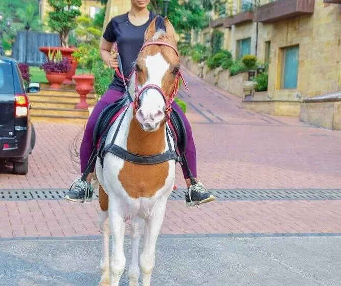 Data Resort By Della Adventure