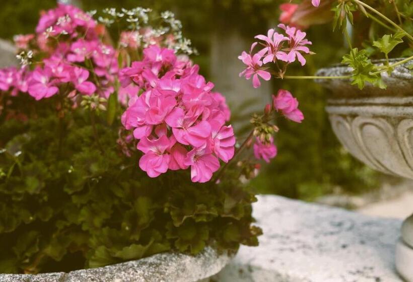 בית מלון כפרי Hostellerie Du Lys