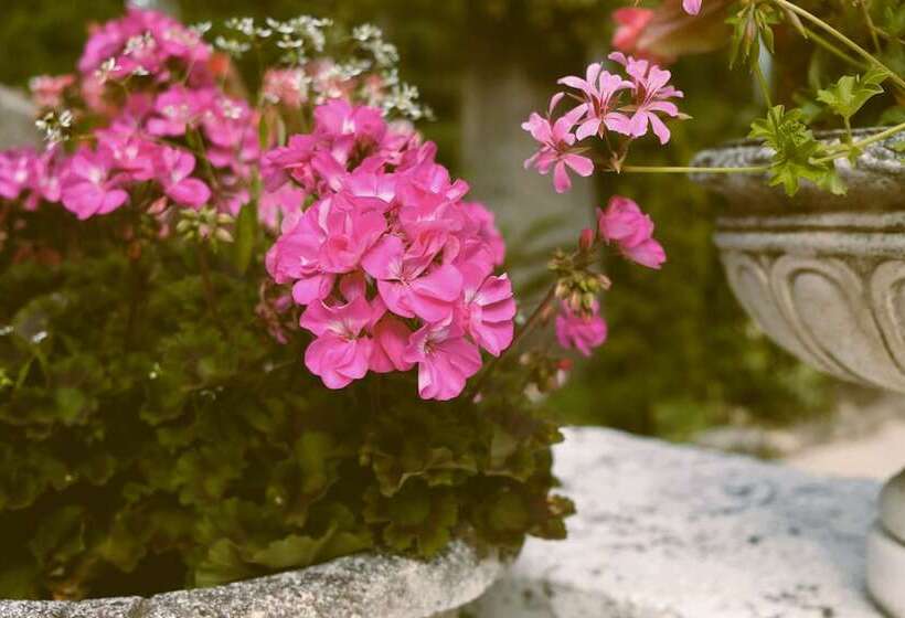 בית מלון כפרי Hostellerie Du Lys