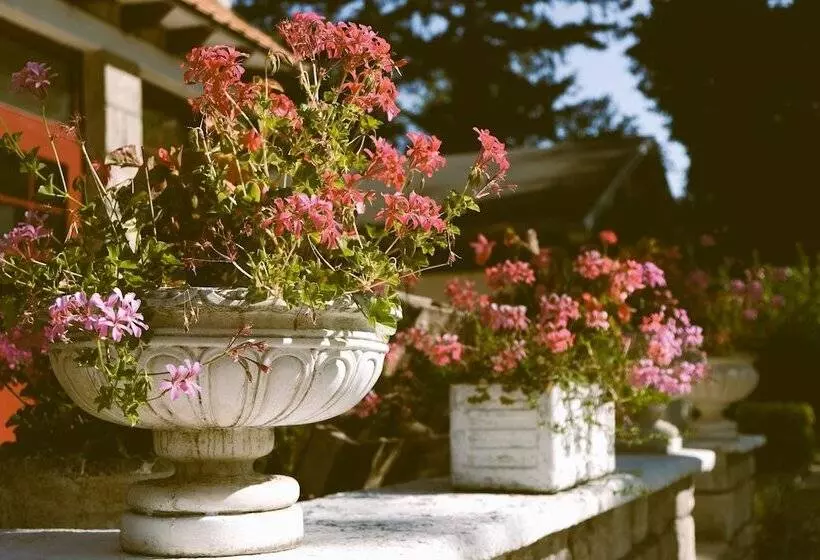 호텔 Hostellerie Du Lys