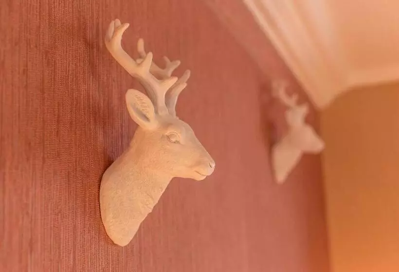 فندق Kaiservilla