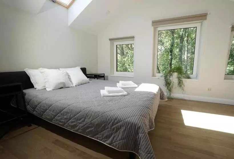 ホテル Skalva Nida