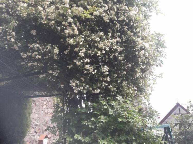 בית מלון כפרי Snow King Retreat