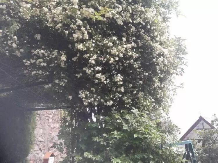 هتل Snow King Retreat