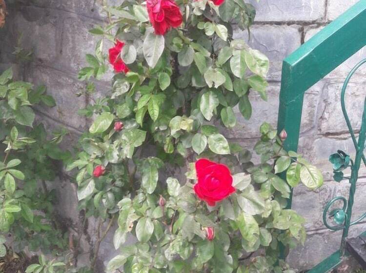 בית מלון כפרי Snow King Retreat