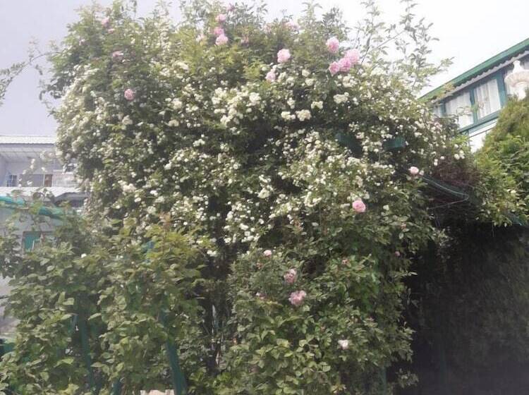 בית מלון כפרי Snow King Retreat