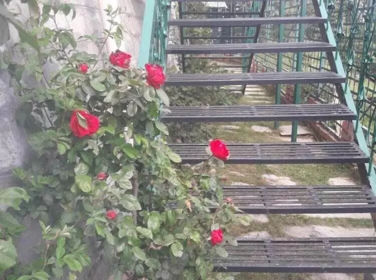 هتل Snow King Retreat