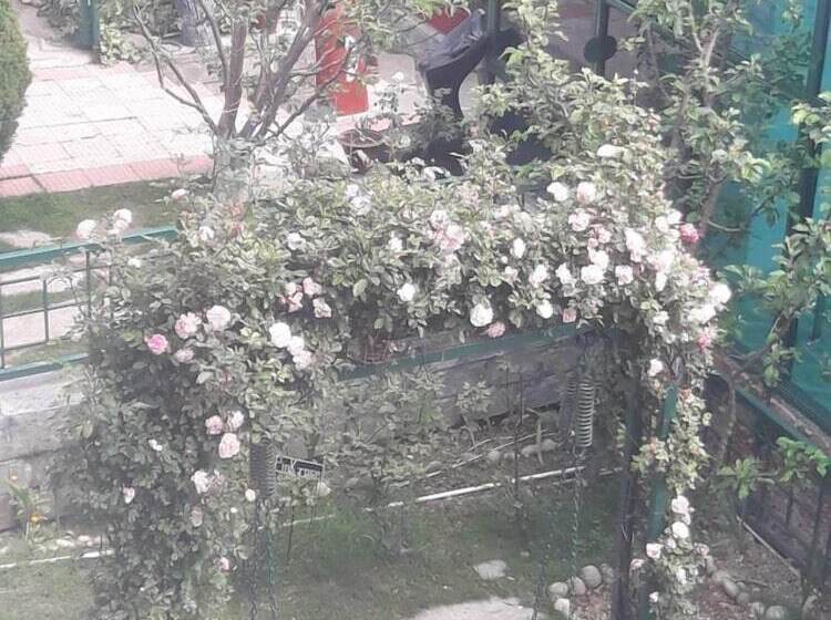 בית מלון כפרי Snow King Retreat