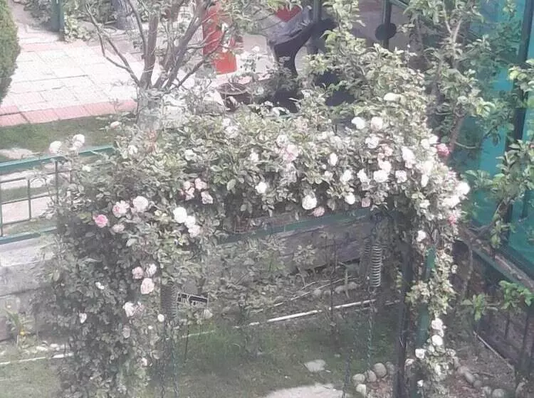 هتل Snow King Retreat