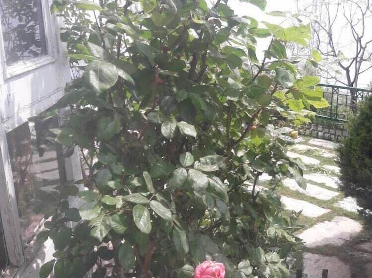 בית מלון כפרי Snow King Retreat