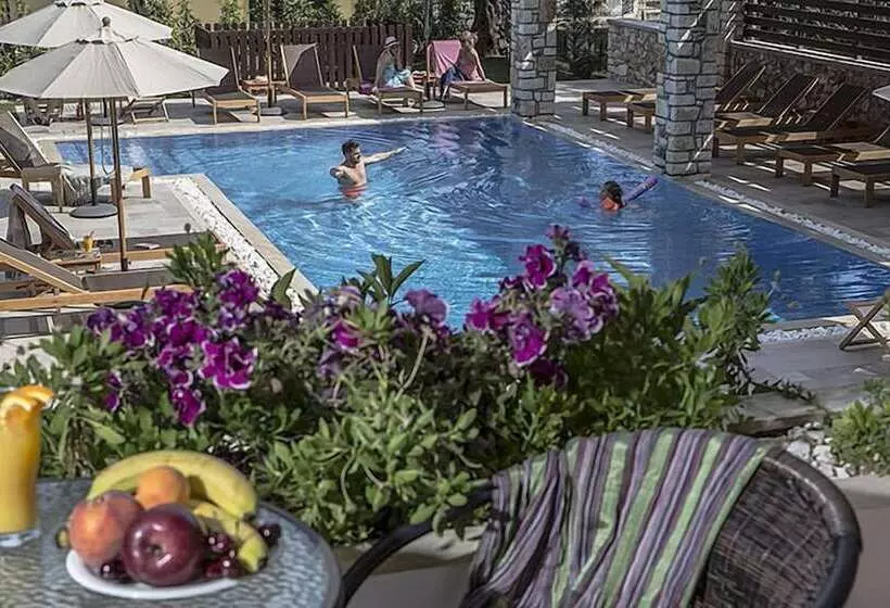 Отель Vassilis Guest House