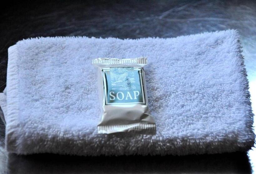 מוטל Braemar Motor Inn