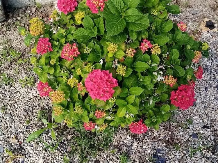 پانسیون Domaine De Launay Blot Resort, Demeure De Prestige