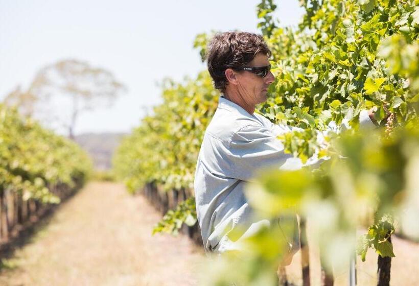 Pensão Petersons Armidale Winery And Guesthouse