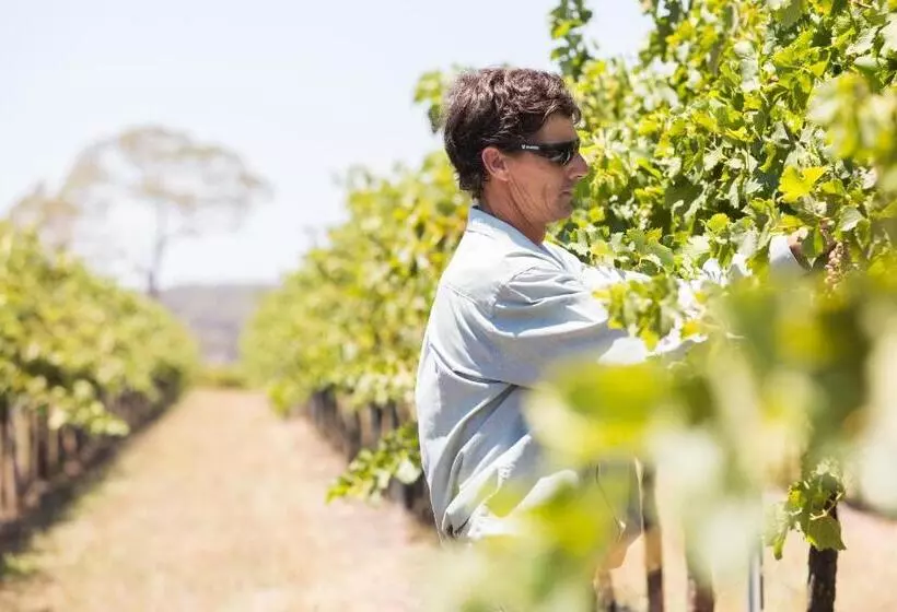 펜션 Petersons Armidale Winery And Guesthouse