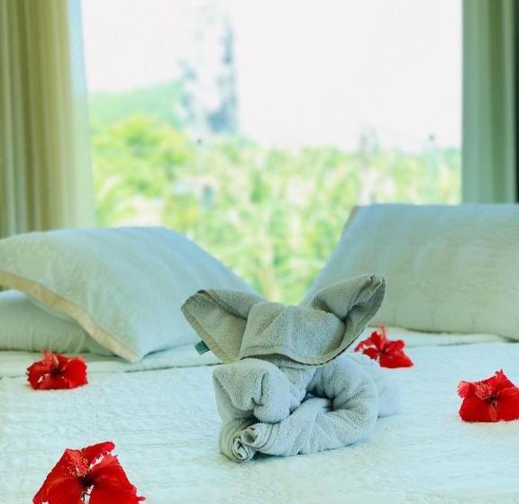 Пансион Pousada Estrela Lunar