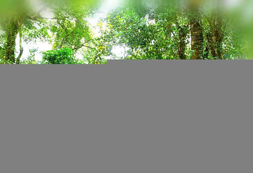 Bluebells Valley Resort - Munnar