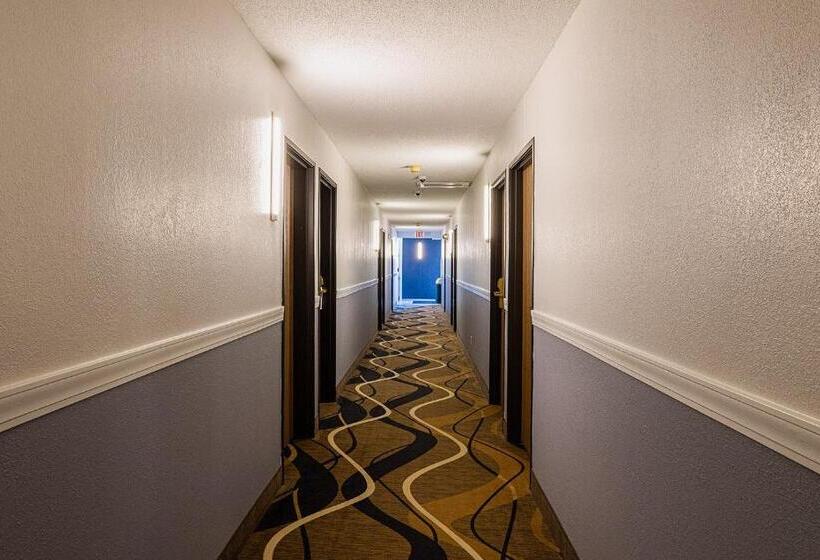 酒店 Coratel Inn & Suites By Jasper Hastings