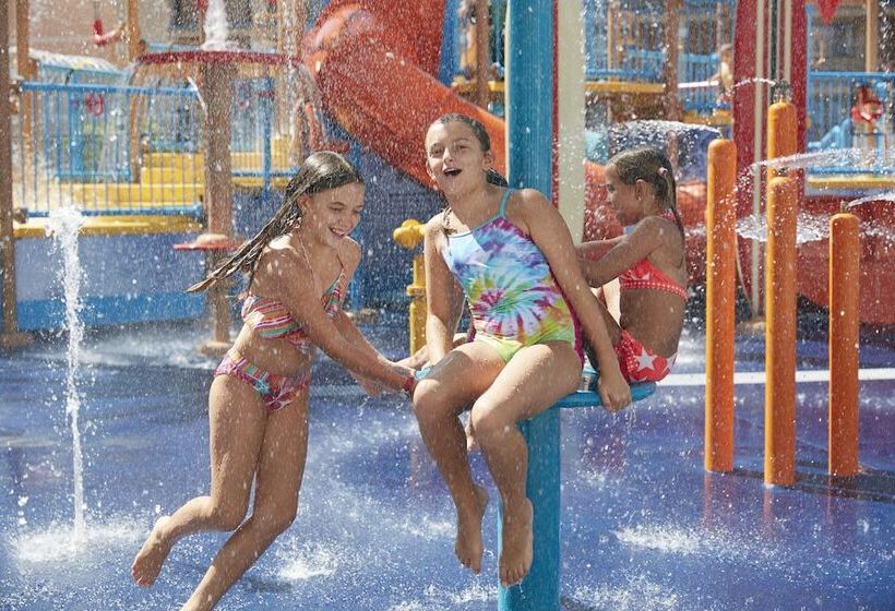 בית מלון כפרי Courtyard By Marriott Anaheim Theme Park Entrance