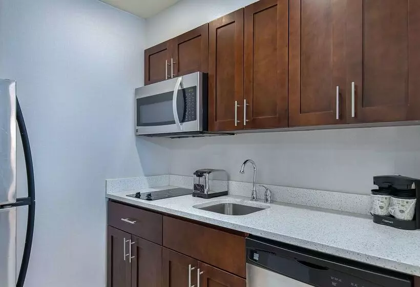 Hotel Homewood Suites By Hilton Atlanta/perimeter Center