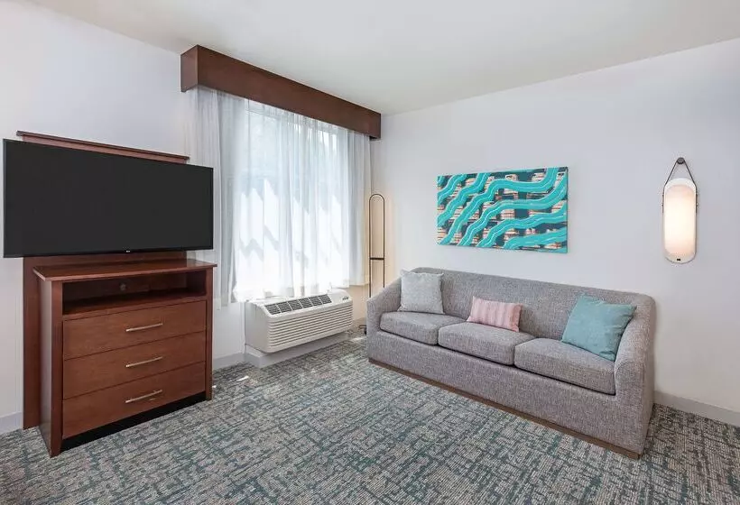 Hotel Homewood Suites By Hilton Atlanta/perimeter Center