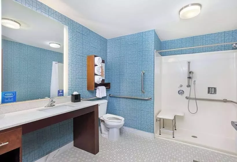 Hotel Homewood Suites By Hilton Atlanta/perimeter Center