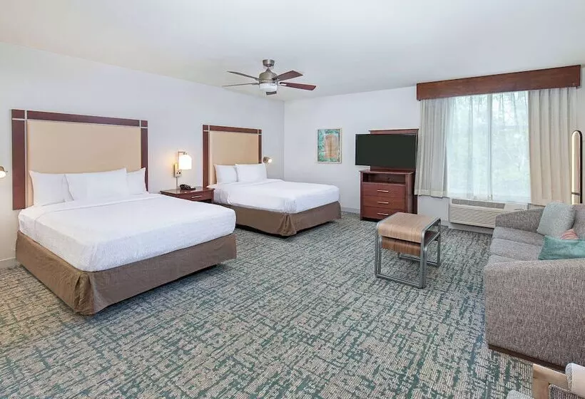 Hotel Homewood Suites By Hilton Atlanta/perimeter Center
