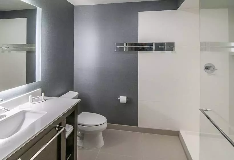 هتل Residence Inn By Marriott Rapid City