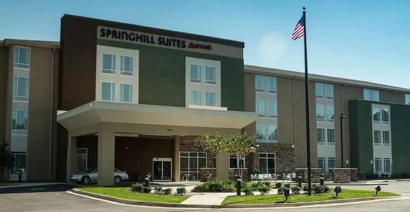 酒店 Springhill Suites By Marriott Mobile West