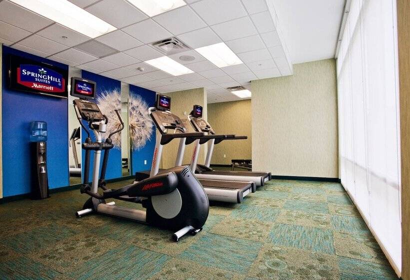 فندق Springhill Suites By Marriott Mobile West