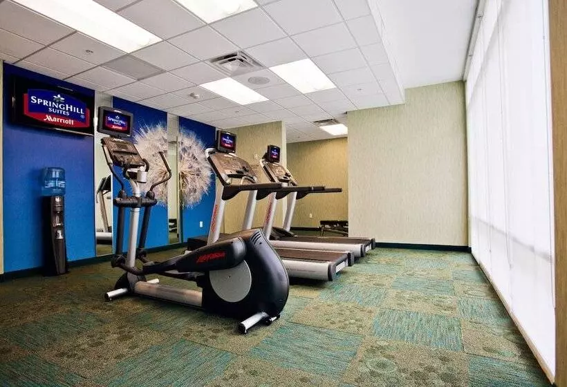 酒店 Springhill Suites By Marriott Mobile West