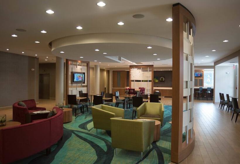 فندق Springhill Suites By Marriott Mobile West