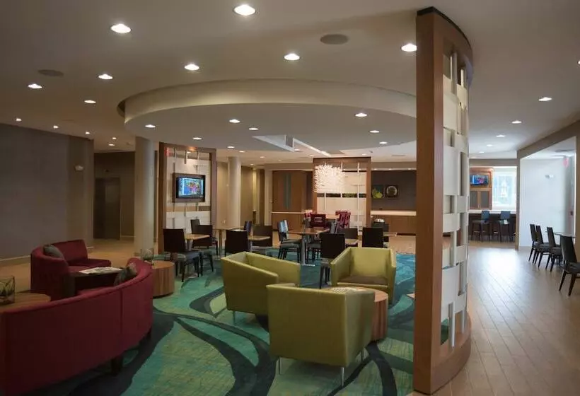 酒店 Springhill Suites By Marriott Mobile West