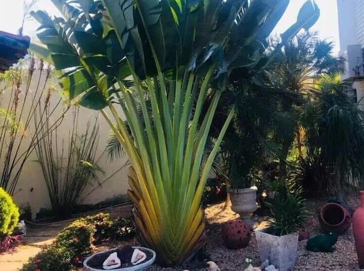 Отель Xingu Praia