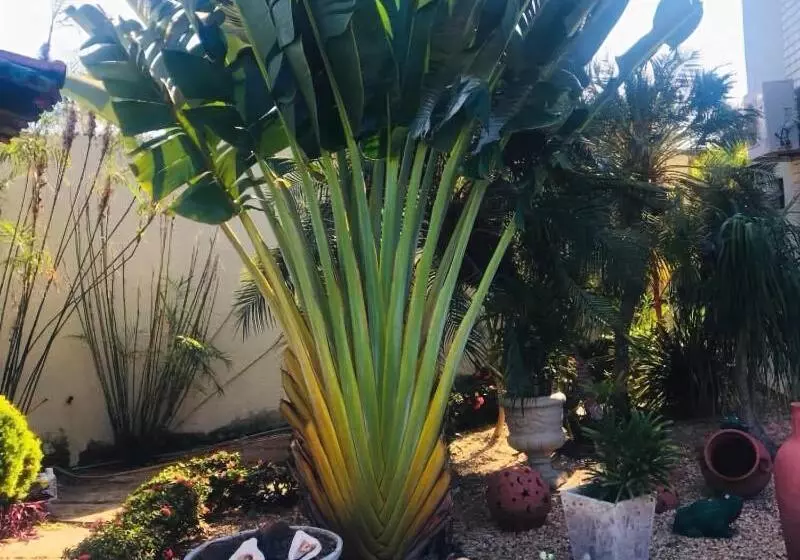 Отель Xingu Praia