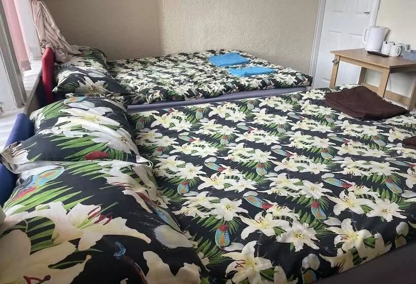 پانسیون Hayward