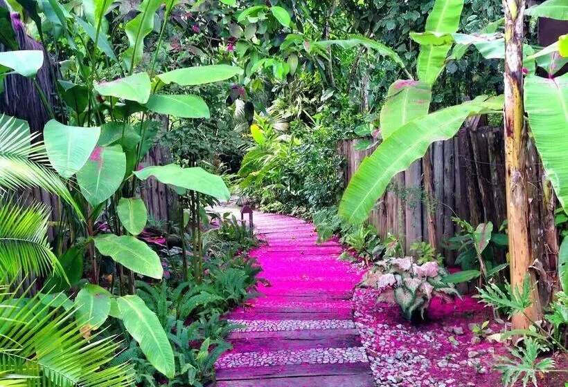 Uxua Casa Hotel & Spa