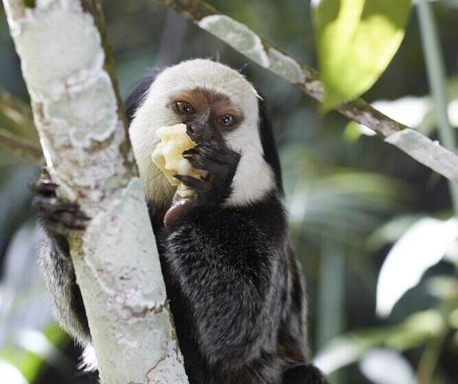 Uxua Casa Hotel & Spa