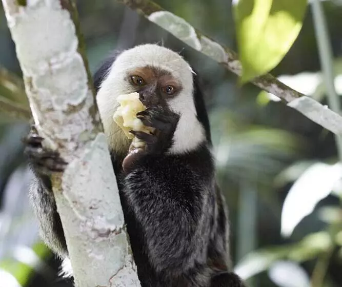 Uxua Casa Hotel & Spa