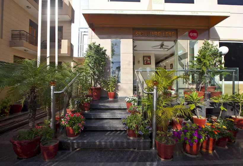 客栈  Oyo Premium Medanta 2