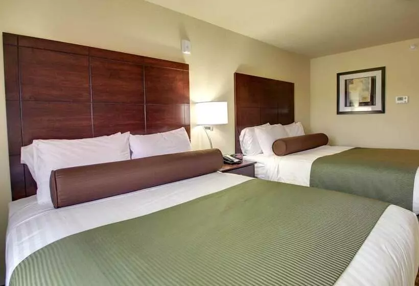 酒店 Cobblestone Inn & Suites Winterset