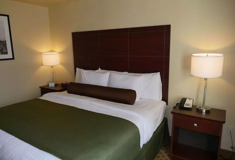 酒店 Cobblestone Inn & Suites Winterset