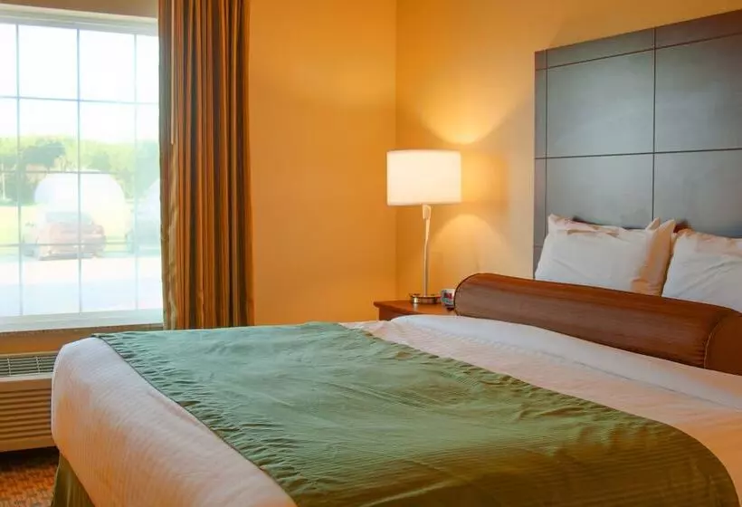 酒店 Cobblestone Inn & Suites Winterset