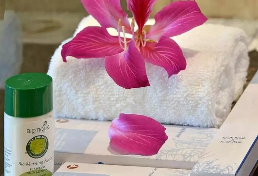 Fortune Park, Dahej  Member Itc S Hotel Group