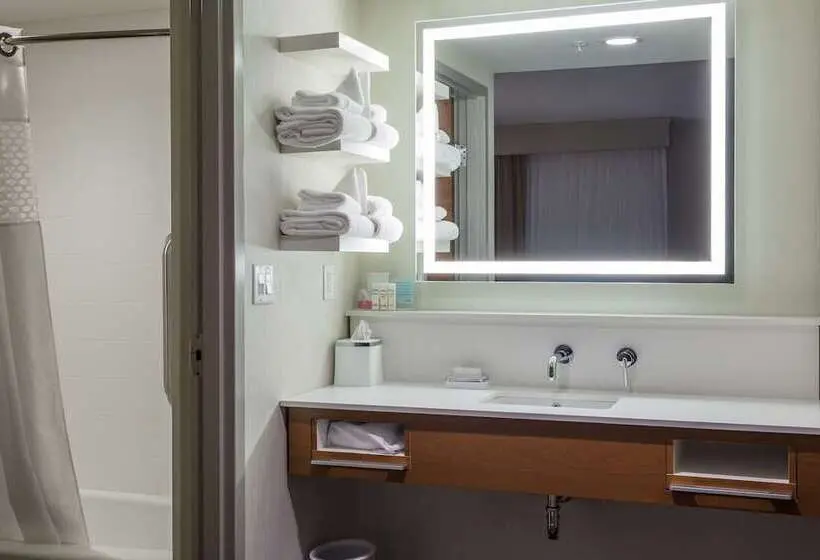 ホテル Hampton Inn & Suites Knoxville Papermill Drive