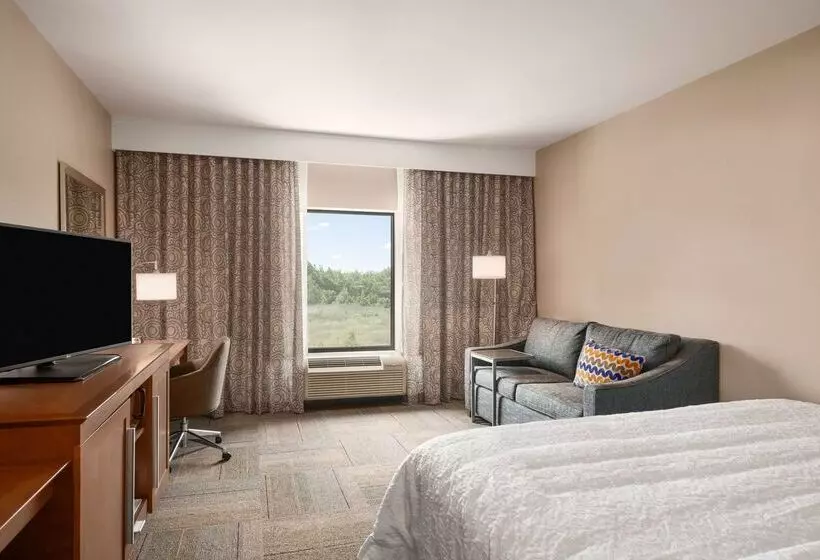 Отель Hampton Inn & Suites Lavonia