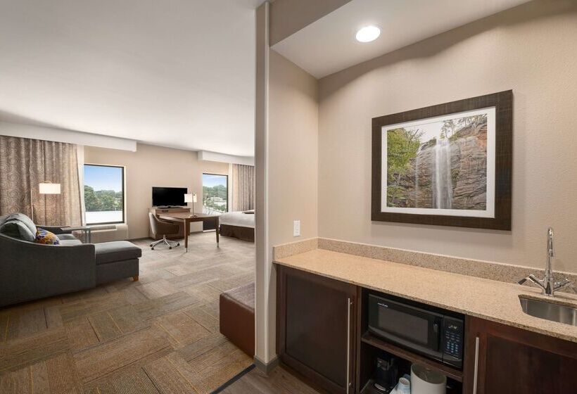 Отель Hampton Inn & Suites Lavonia