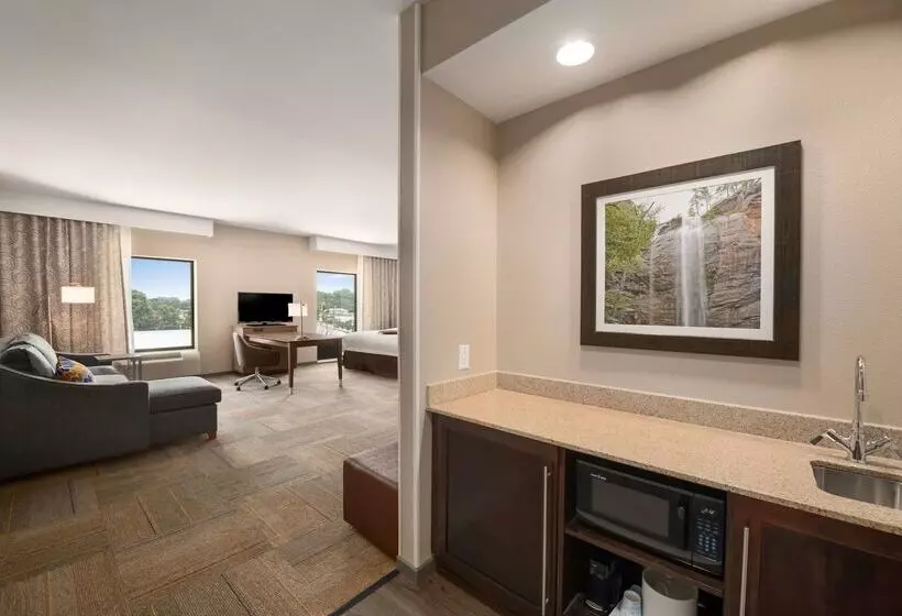 Отель Hampton Inn & Suites Lavonia